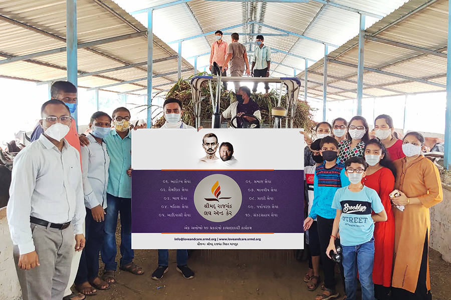 Volunteers from Botad centre visit an animal shelter