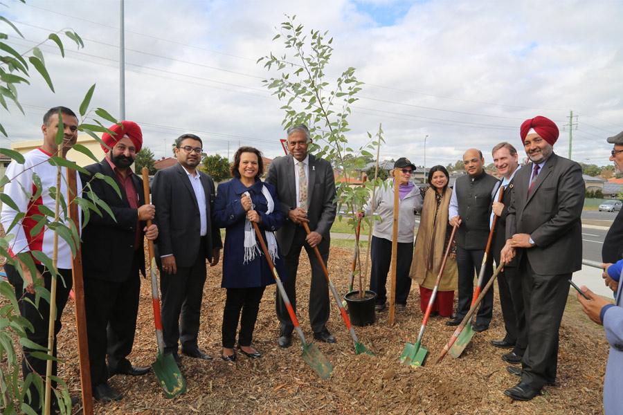 Celebrating World Environment Day through ‘Trees for Peace'
