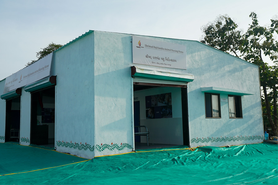 Shrimad Rajchandra Animal Nursing Home - A one of its kind medical facility for animals and birds